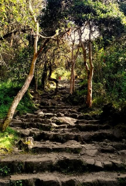 Classic Inca Trail 4 Days 3